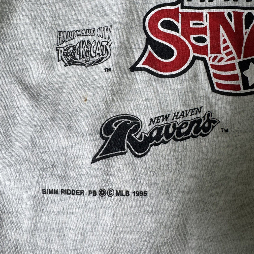 Vintage 1995 Eastern League Harrisburg Senators Baseball Tee Medium Made in USA