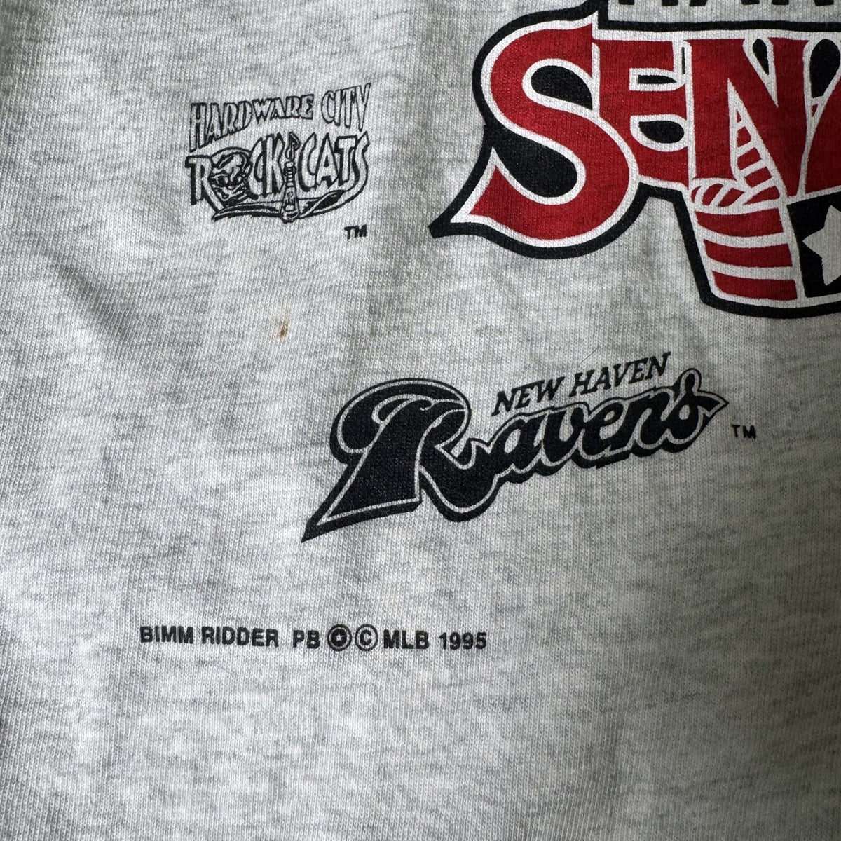 Vintage 1995 Eastern League Harrisburg Senators Baseball Tee Medium Made in USA