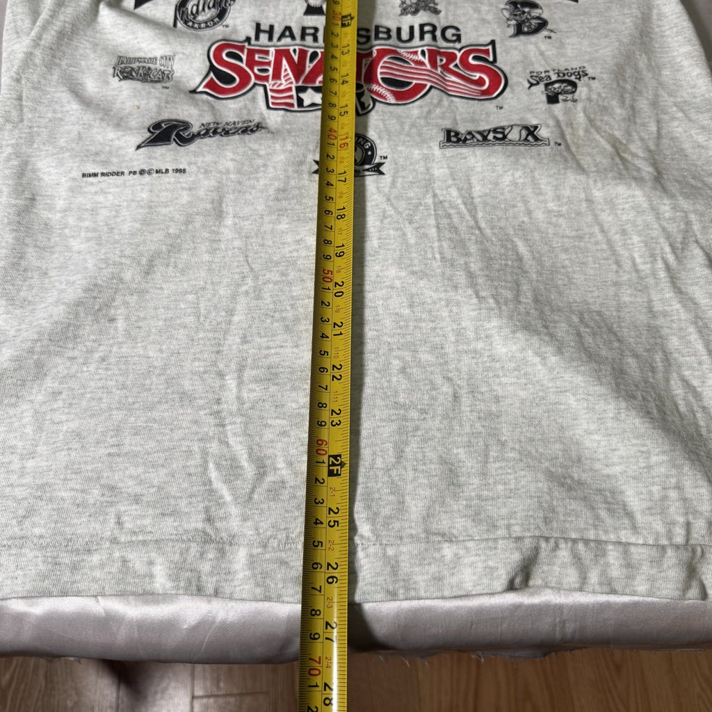 Vintage 1995 Eastern League Harrisburg Senators Baseball Tee Medium Made in USA